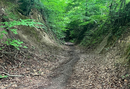 22-06-06 13-59-57 1066